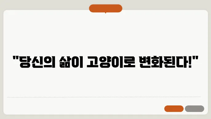 고양이와 함께하기 위한 생활 준비