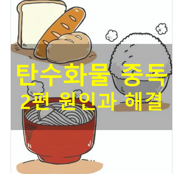 탄수화물 중독의 원인과 해결 방법 Main