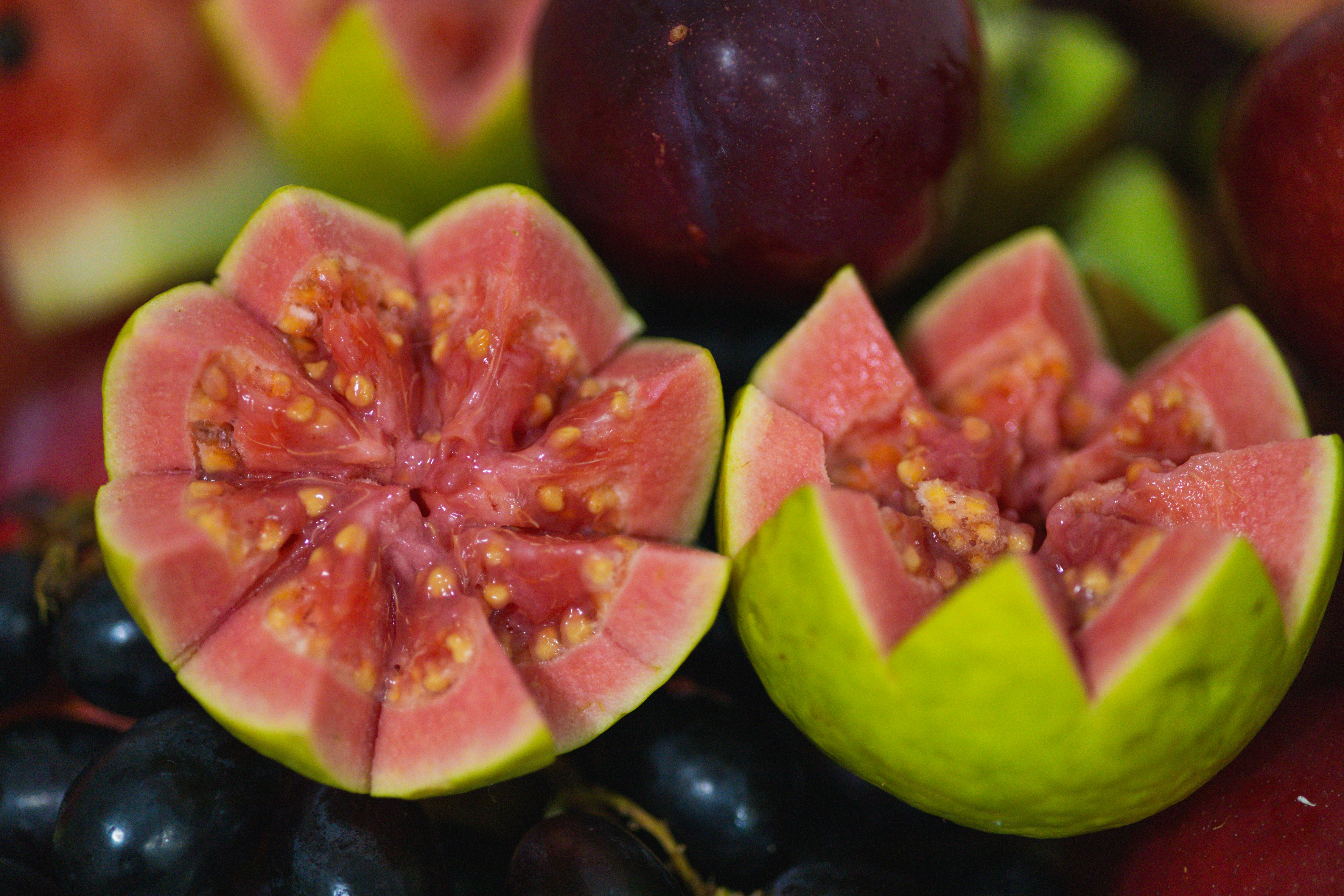 니파- 바이러스 -2026년 -1