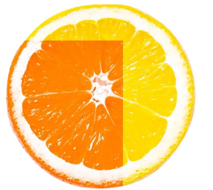 비타민d 부족증상