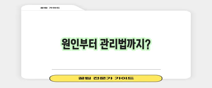 고양이 식이 알레르기 증상 식별과 관리법 확실하게 알아볼까요?