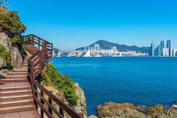 제주도 어떡하니...해외 여행의 반값인데도 안 간다고?