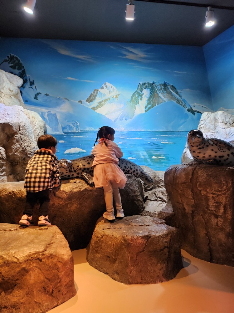 물범 모형과 아이들