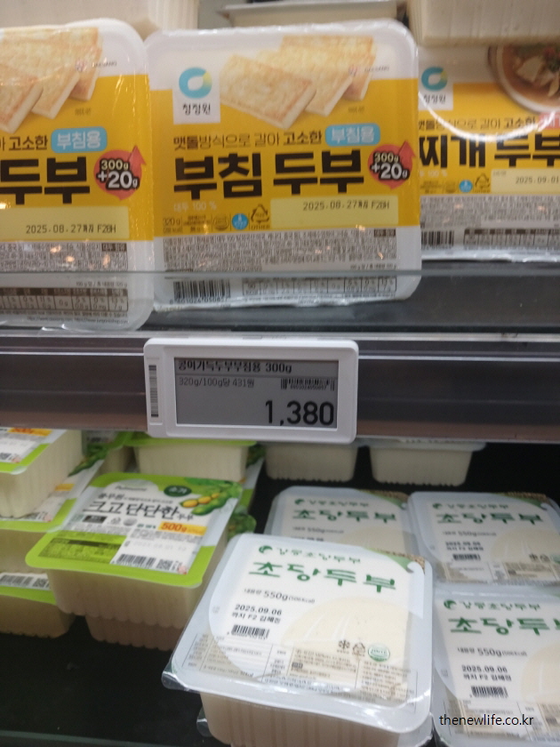 여성 탈모에 좋은 식물성 단백질 음식인 두부