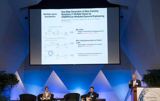 유전공학과 전망 및 전국대학리스트