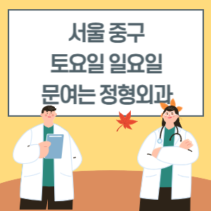 서울 중구 토요일 일요일 정형외과 진료 병원 리스트