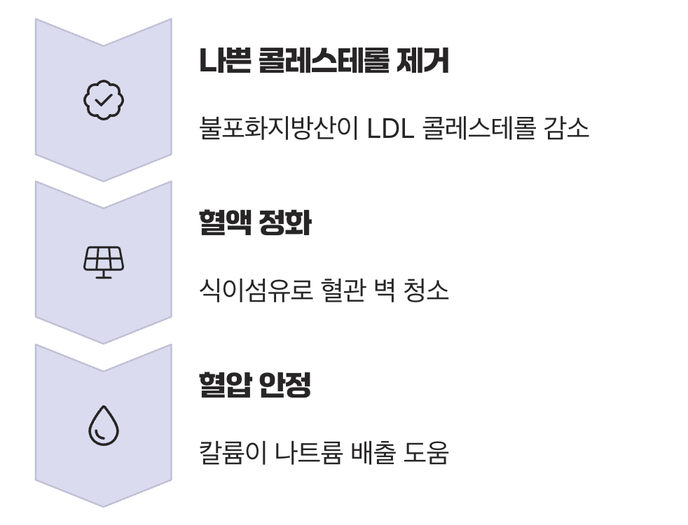 4. 혈관 속 노폐물을 씻어내는 청소부