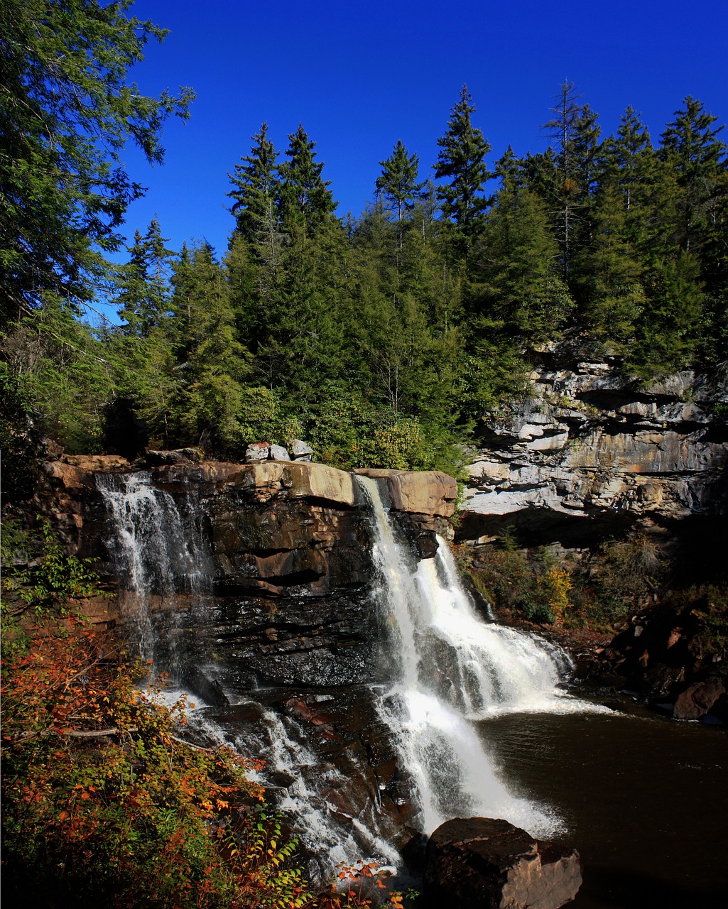 버지니아 주립공원 여행