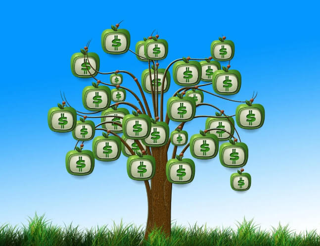 임의계속가입자