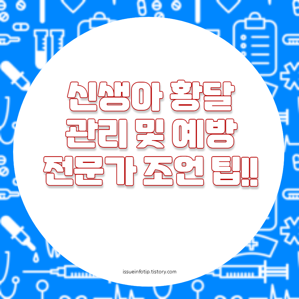 전문가가 제공하는 필수 가이드