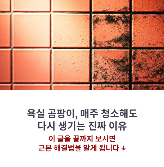 욕실 곰팡이 방지엔 왜 케라폭시가 답일까?