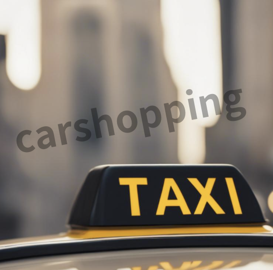 택시운전 자격시험 홈페이지