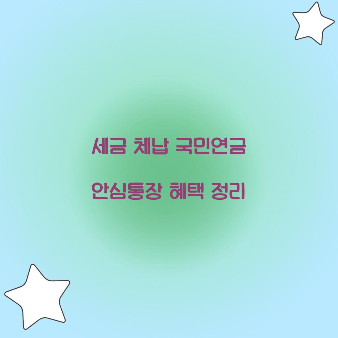 세금 체납 국민연금 안심통장