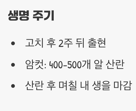 날지 못하는 나방, 성충의 슬픈 사명