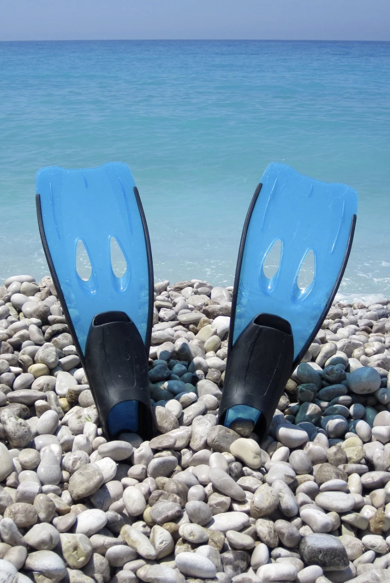 오리 발로 달리기? 독일의 오리 경주(Schuhplattler)의 역사