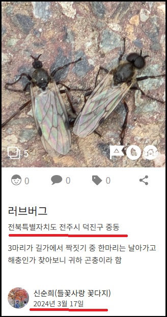 알트태그-네이처링 러브버그 관찰기록