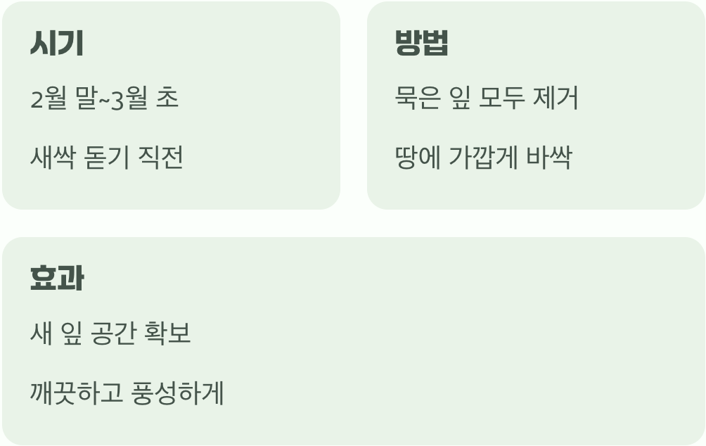 풍성한 여름을 위한 봄맞이 이발