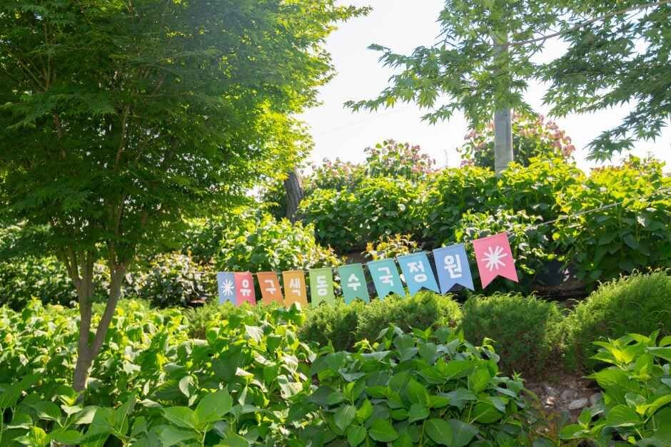 공주 유구 색동수국정원 꽃축제