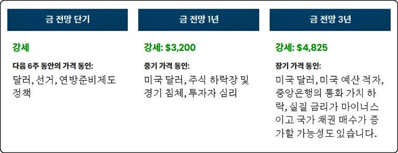 금의 전망