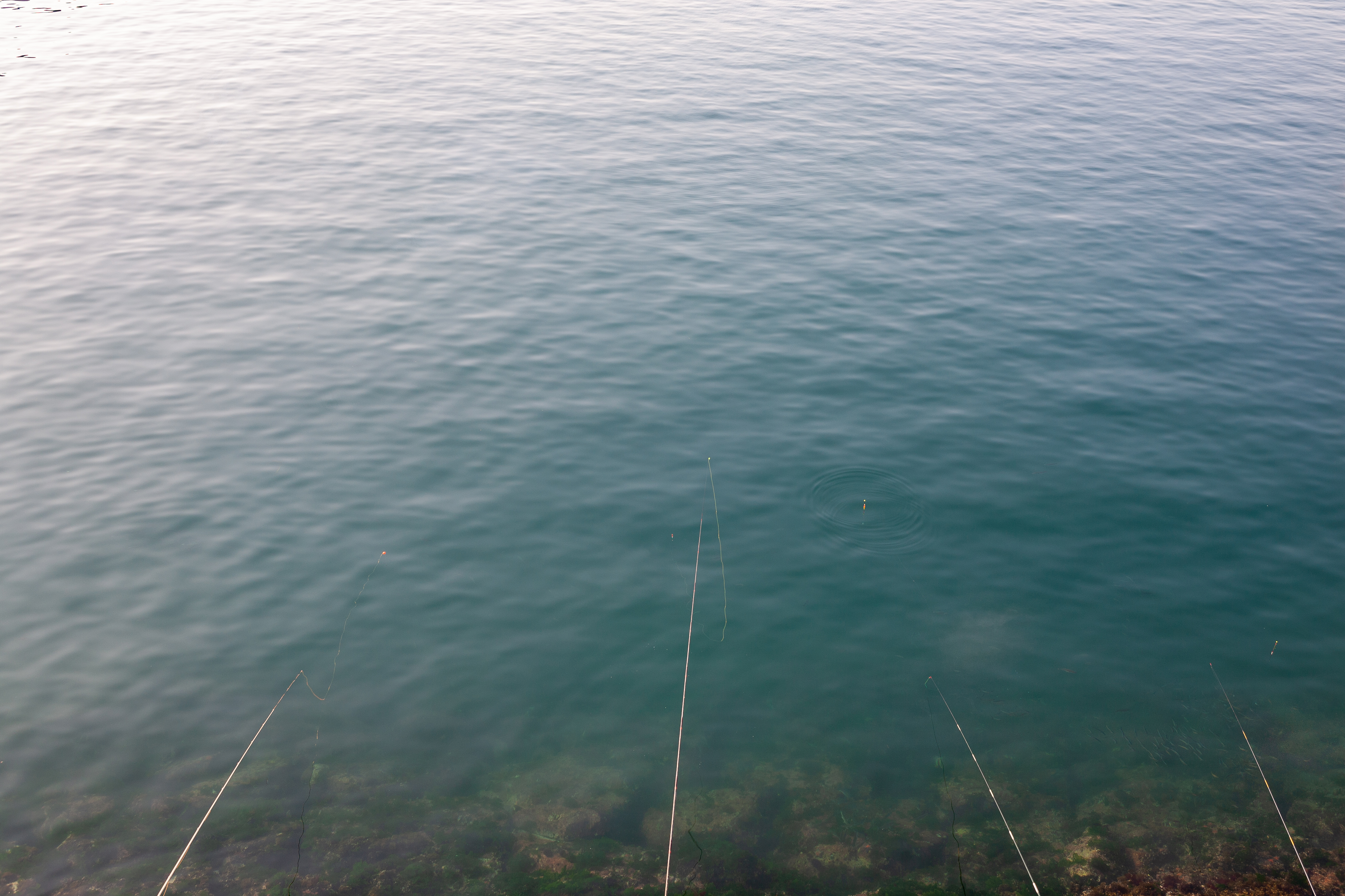 삼길포, 안면도 바다 좌대낚시 채비