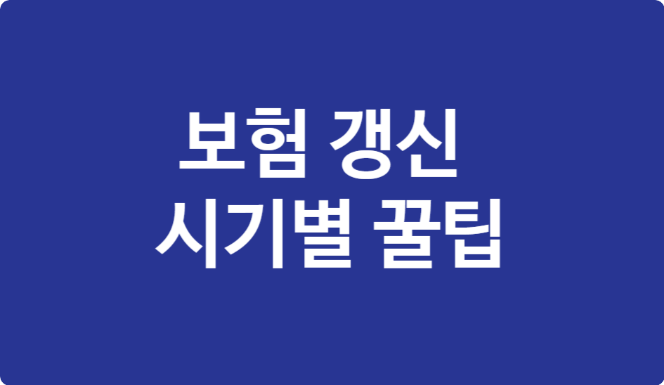자동차 보험 갱신 시기별 할인 꿀팁 (보험사별 비교)