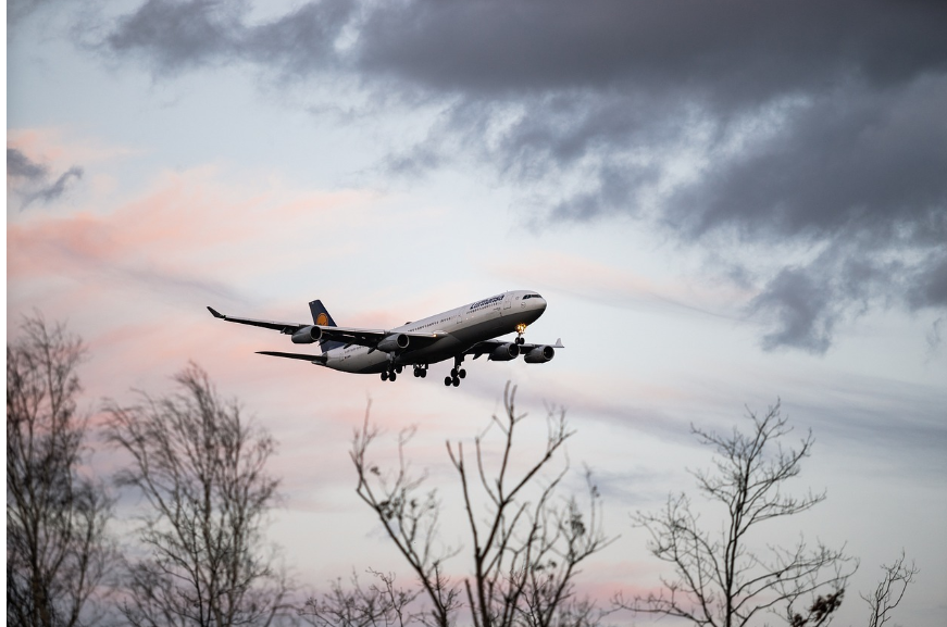 방학동안 아이와 해외여행을 계획 중이신가요