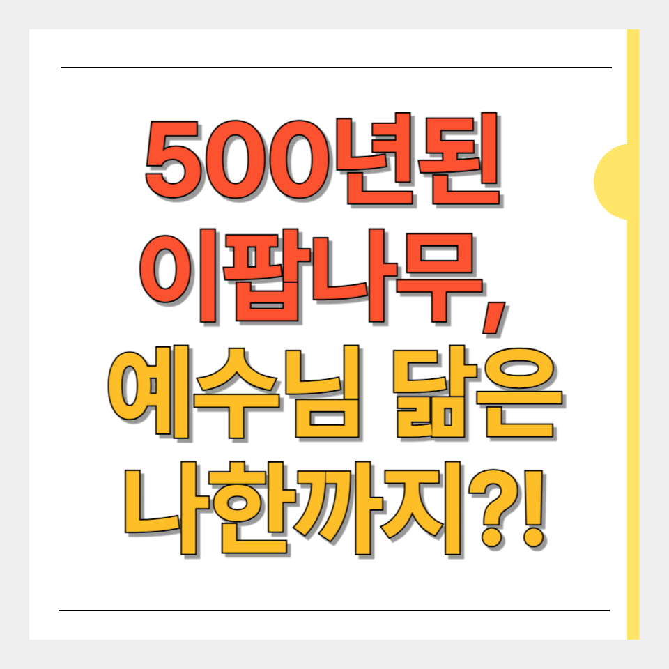 김해 이팝나무 명소, 선지사 봄 여행