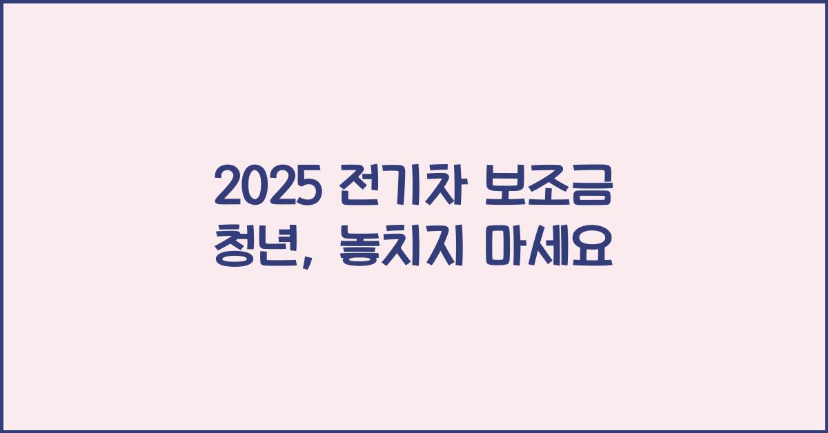 2025 전기차 보조금 청년