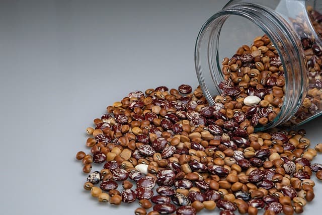 우리 마을 축제, 경기도 파주 주민이 직접 소개하는 행사 꿀팁!