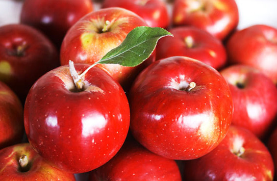 사과와 궁합좋은 채소 5가지