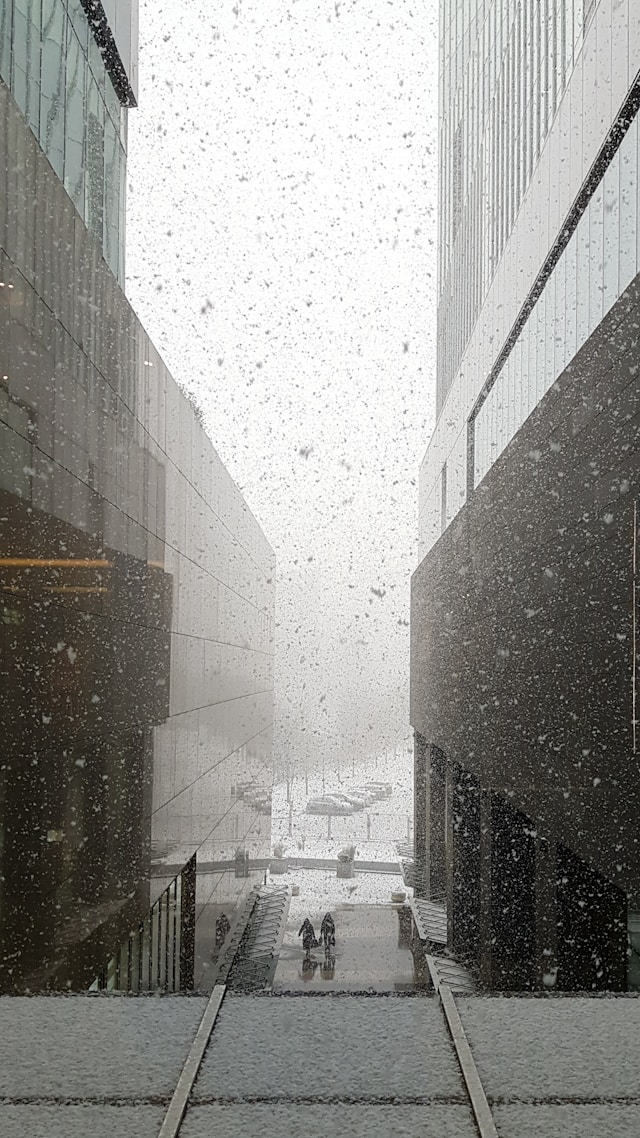 대설특보 어린이집 등원 자제 긴급보육 출석 인정 총정리