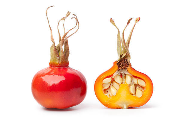 로즈힙퓨레 효능&amp;#44; 항산화제로 면역력 키워보세요. 로즈힙은 차로도 많이 먹고 있는데 생각보다 많은 효능이 있다고 합니다. 