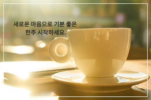 하얀색 커피 잔을 비추는 햇빛