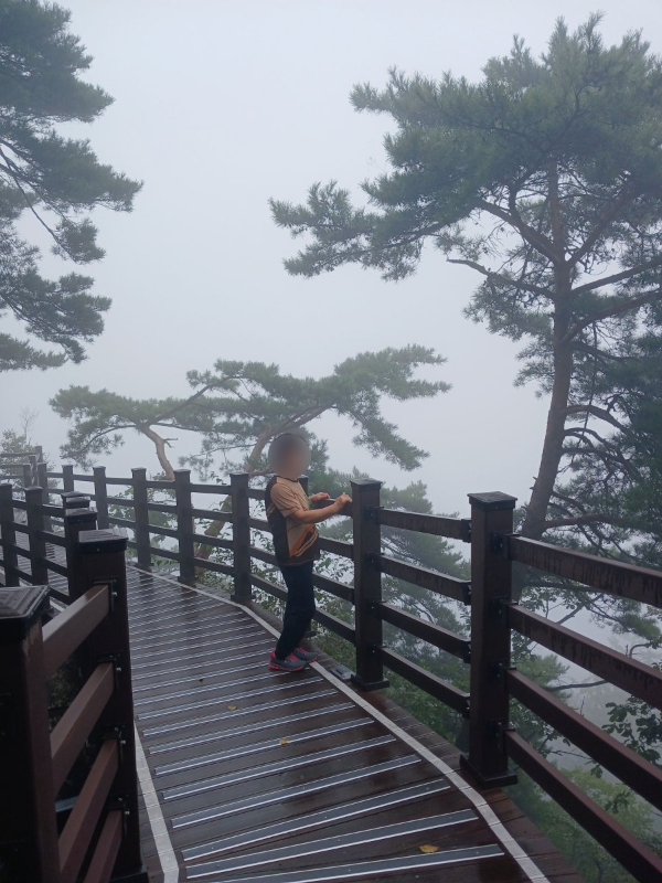 삼악산 데크길에서 담다