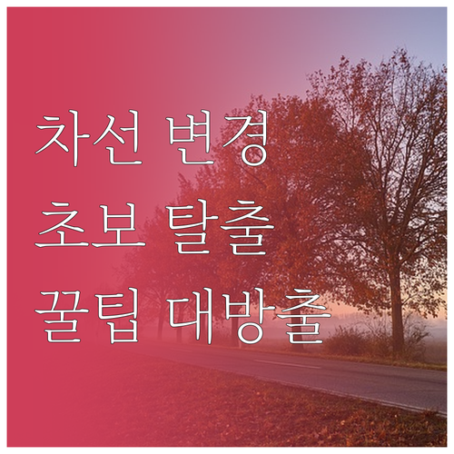 차선 변경, 두려워 마세요! 초보 운..