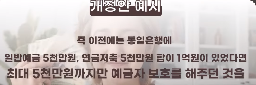 개정안
