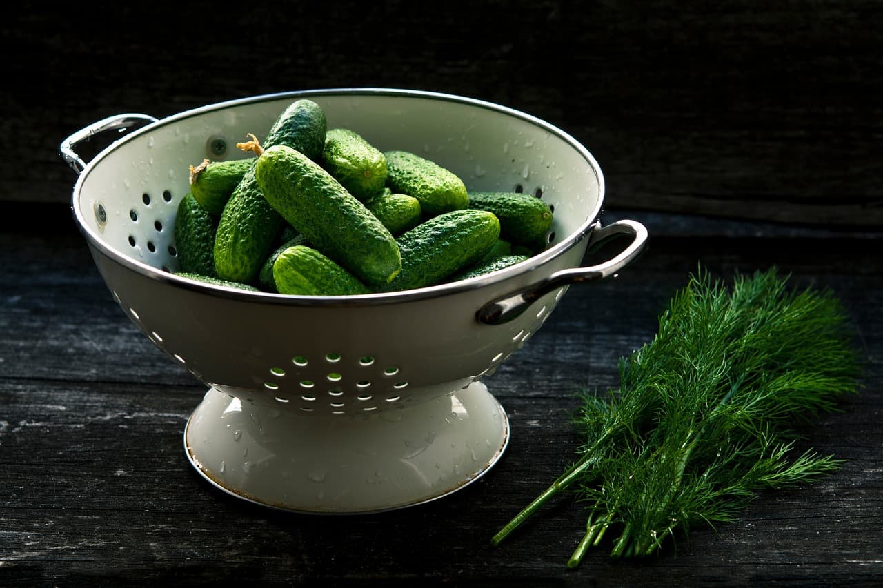 🥗여름철 입맛 돋우는 음식 추천! 오이 냉국 과 두부 샐러드 로 시원하게 즐겨요🍃
