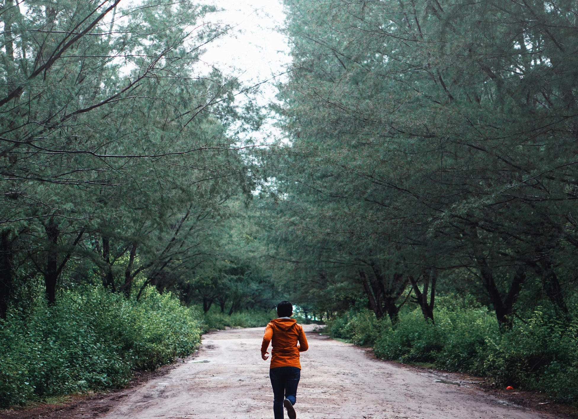 슬로우조깅 효과