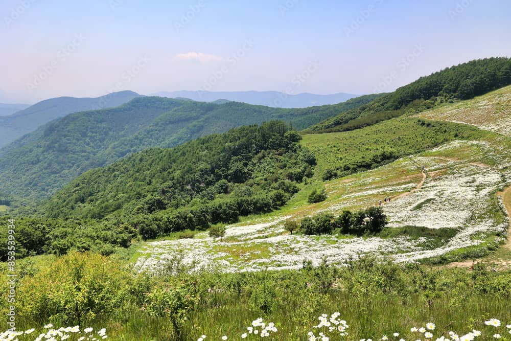 가정의 달 5월&amp;#44; 가족과 함께 떠나기 좋은 국내 여행지 추천 7곳