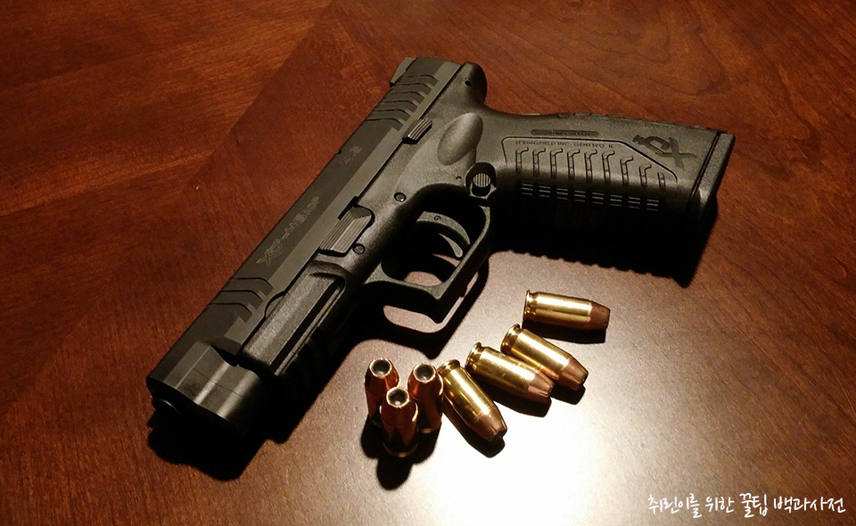 대통령 경호 이미지 사진