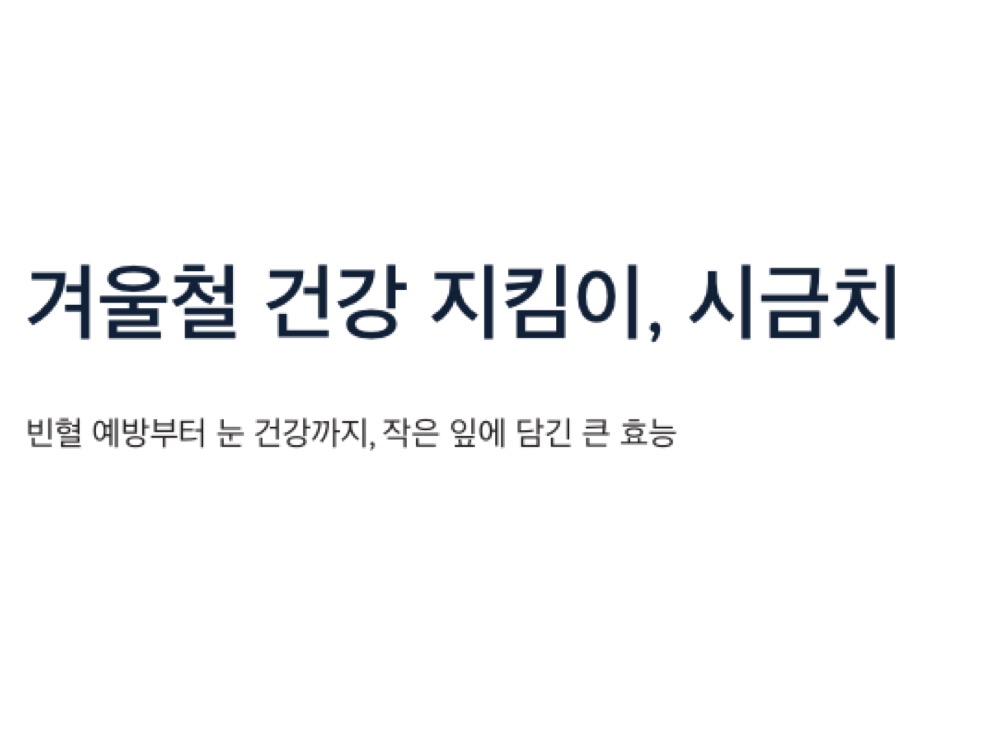 시금치 효능 겨울지킴이