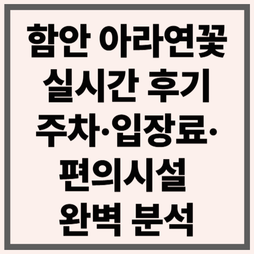 함안 아라연꽃 실시간 후기|주차·입장료·편의시설 완벽 분석