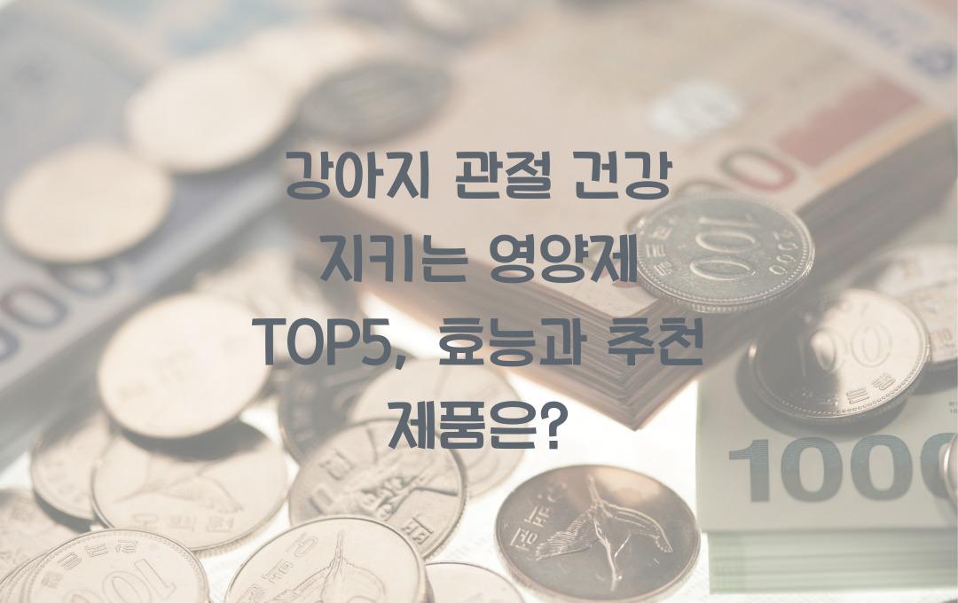 강아지 관절 건강 지키는 영양제 TOP5