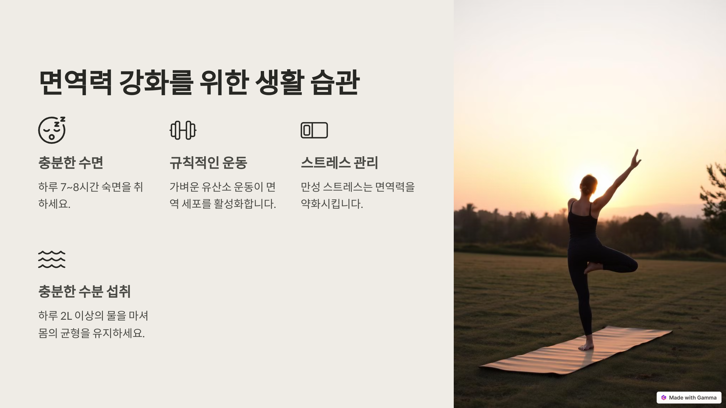 면역력 높이는 음식 BEST 10