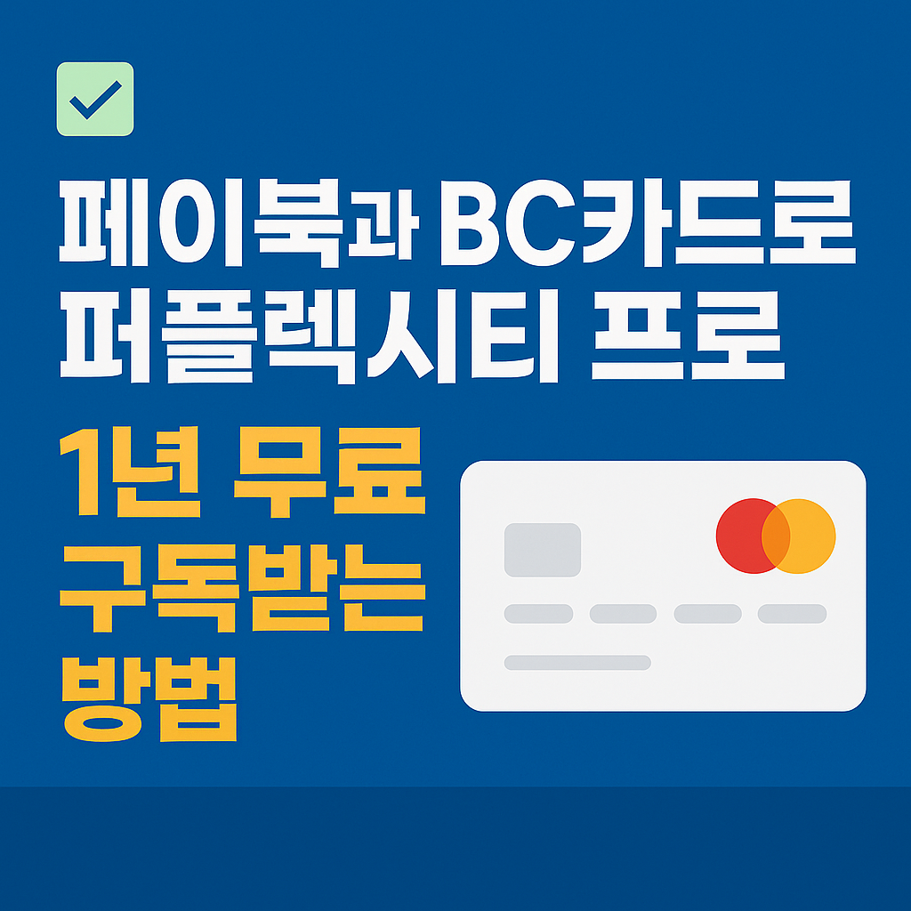 페이북과 BC카드로 퍼플렉시티 프로 1년 무료 구독받는 방법