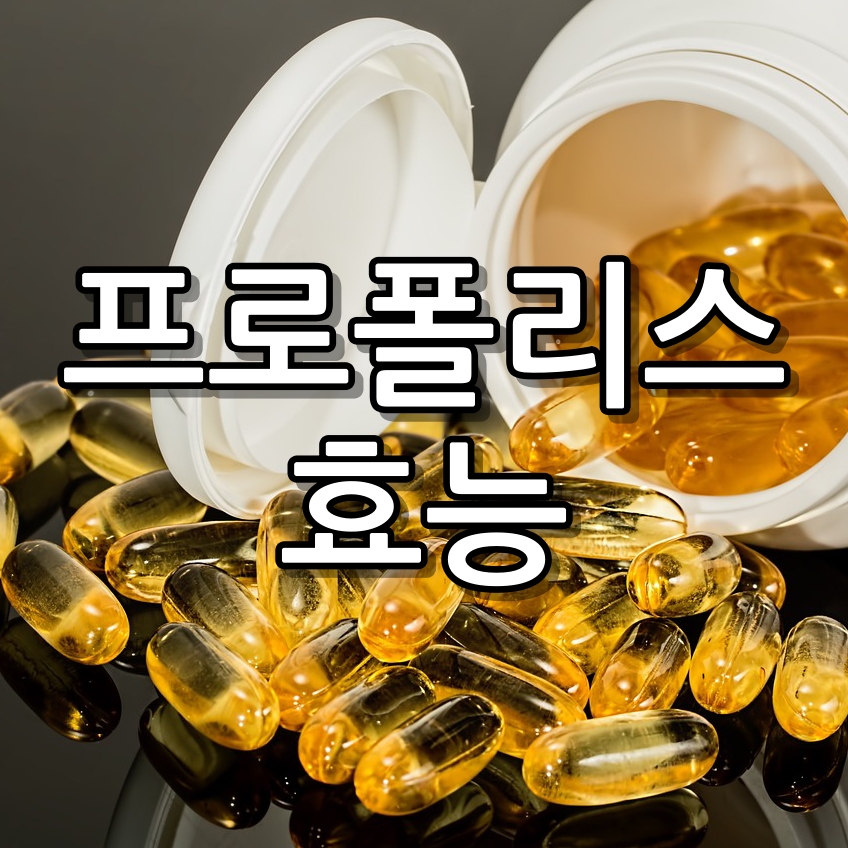 프로폴리스 효능 10가지 총정리