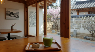 3월 국내 여행지 추천 &ndash; 봄을 만끽하는 최적의 여행지