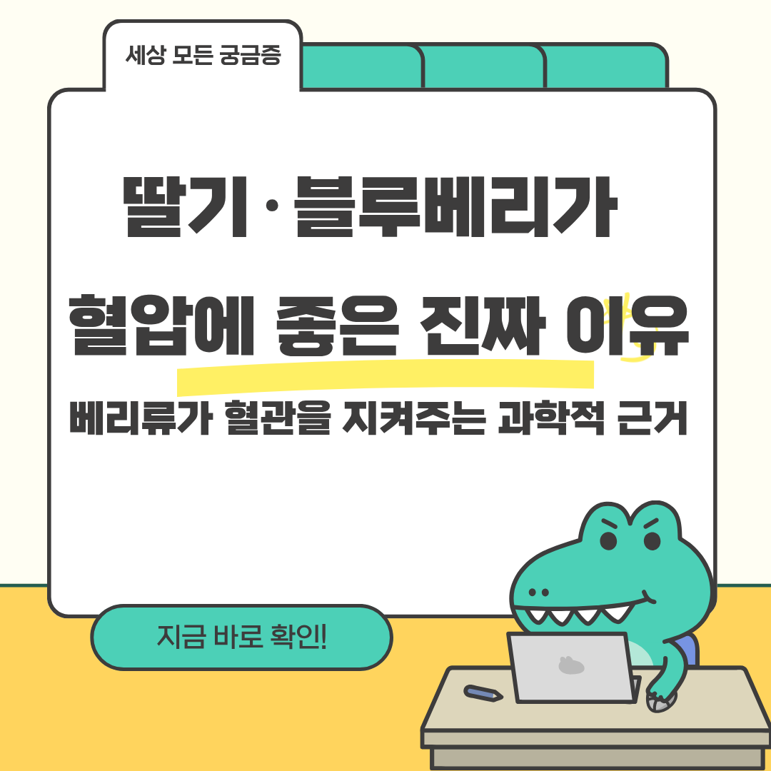 딸기&middot;블루베리가 혈압에 좋은 진짜 이유