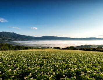 숲나들e 홈페이지 실시간 예약방법
