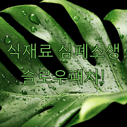 식품 신선도 유지 스티커 슬로우패치 ..